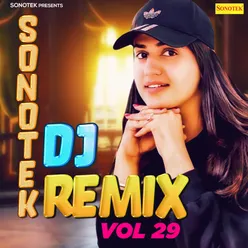 Sonotek DJ Remix Vol 29